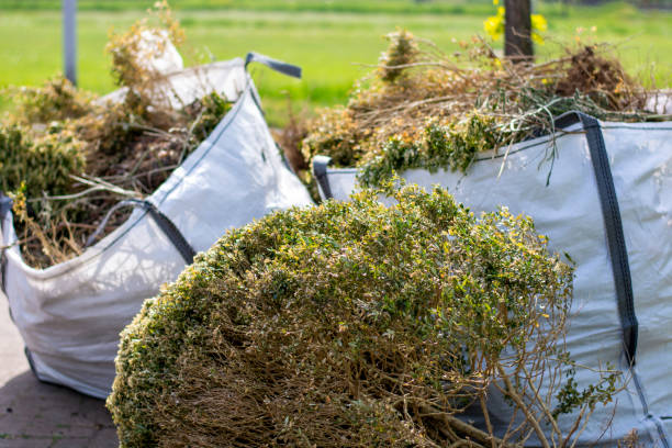 Trash Removal Near Me in Foley, MN